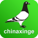 中国信鸽信息网app v20201022安卓版	