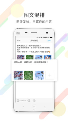 宁海在线app