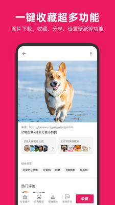 图片搜搜去广告版