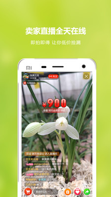 兰花交易网app