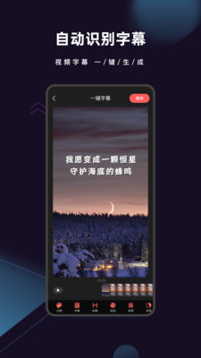 爱字幕app