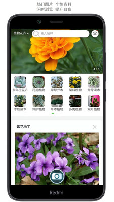拍照识花app