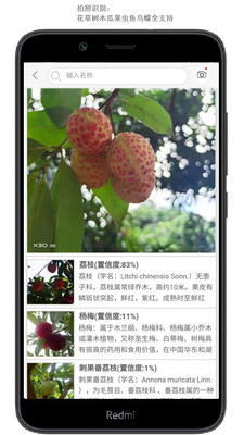拍照识花app