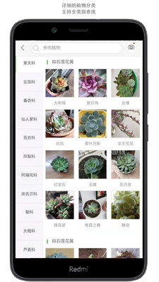 拍照识花app