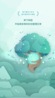 forest专注森林