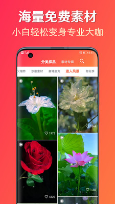 淘素材