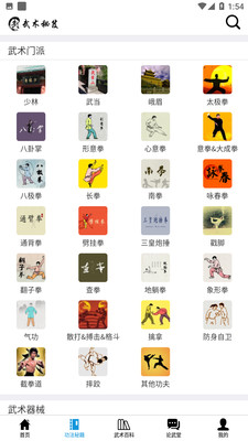武术秘笈app