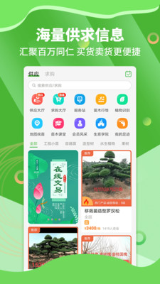 苗木通app