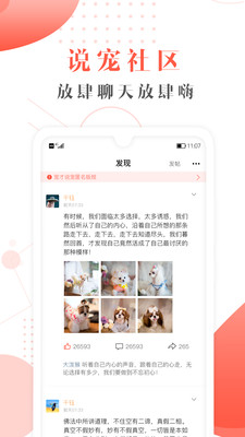 宠才宝app