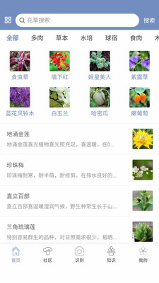 东篱花草app
