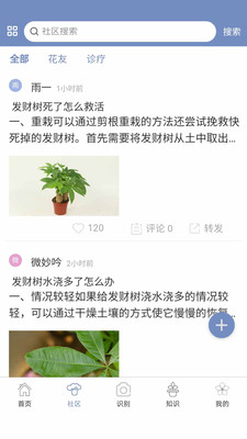 东篱花草app