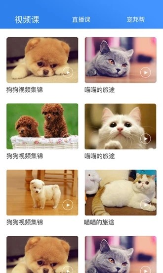 宠帮邦app