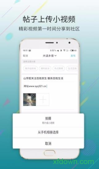 大滨海网app