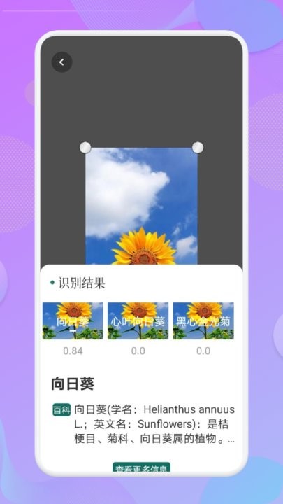 植物达人app