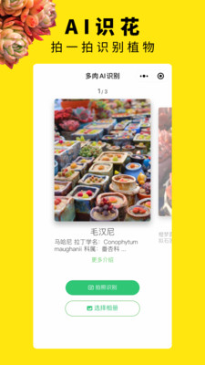 多肉圈app