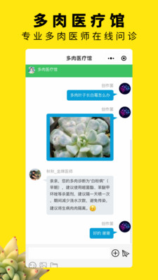 多肉圈app