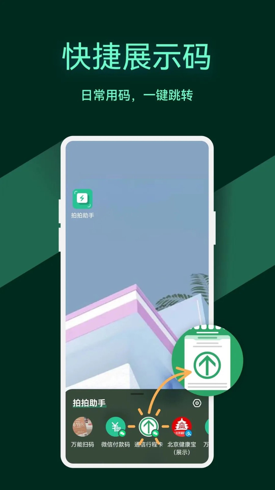 拍拍助手app
