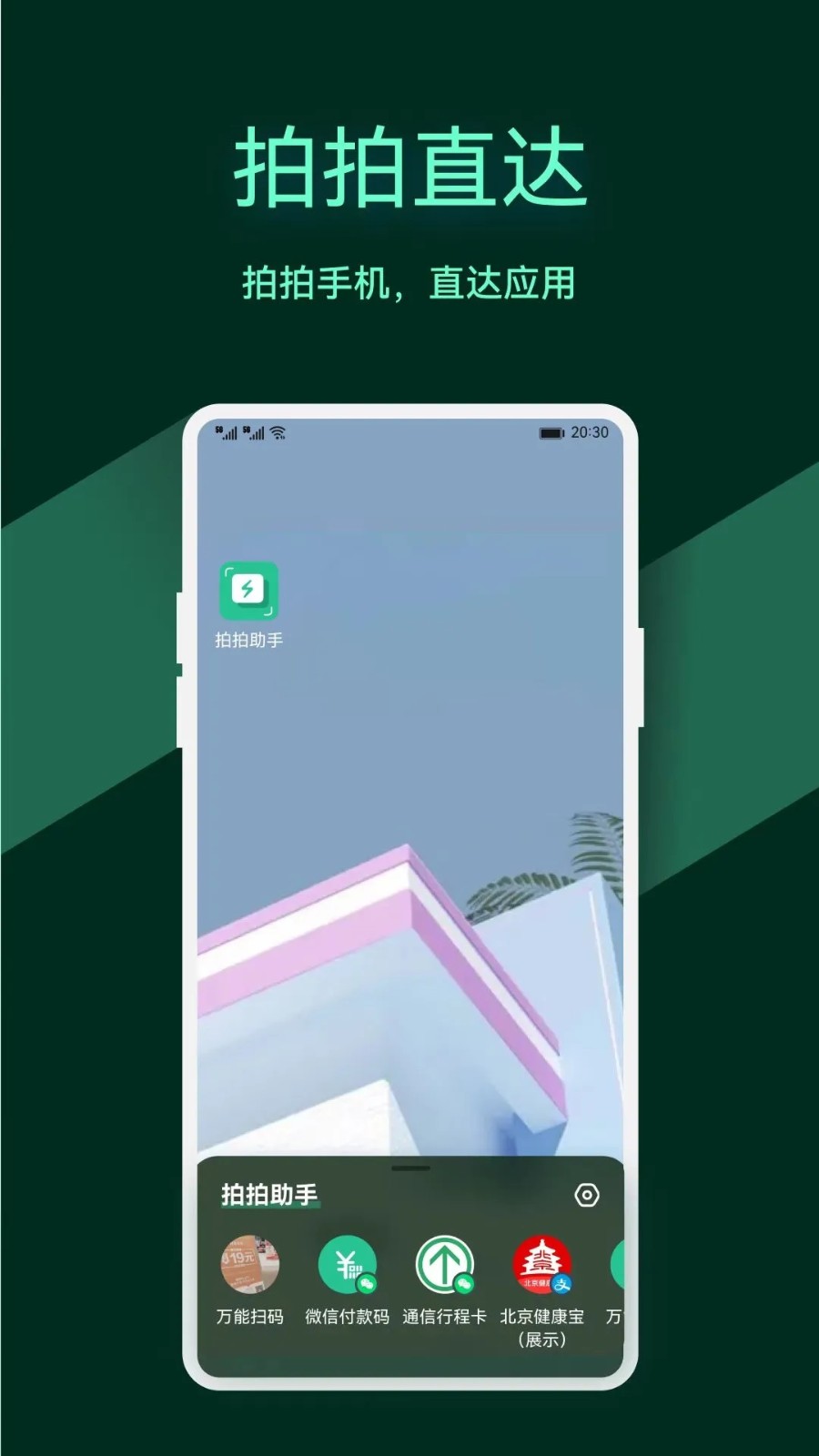 拍拍助手app