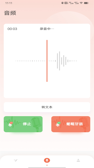 葡萄牙语翻译app