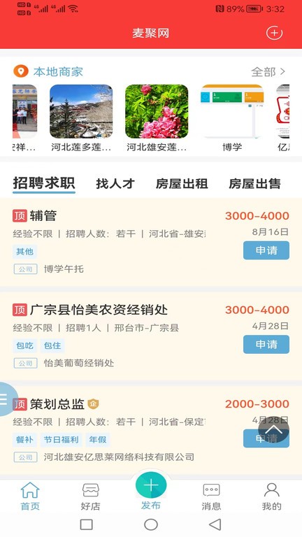 麦聚网app