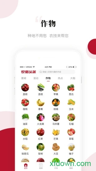 农资头条app